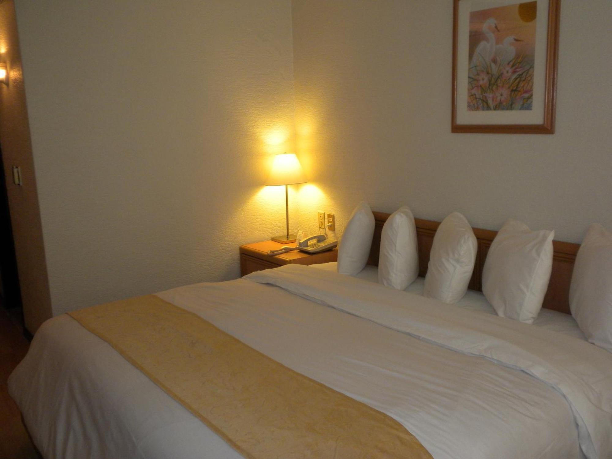 Hotel Pf Mexico City